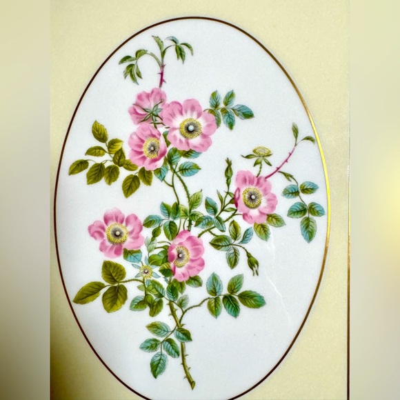 The Royal Worcester Rose Collection Sweet Briar Rose 1988 Frame Bone China - Picture 2 of 3